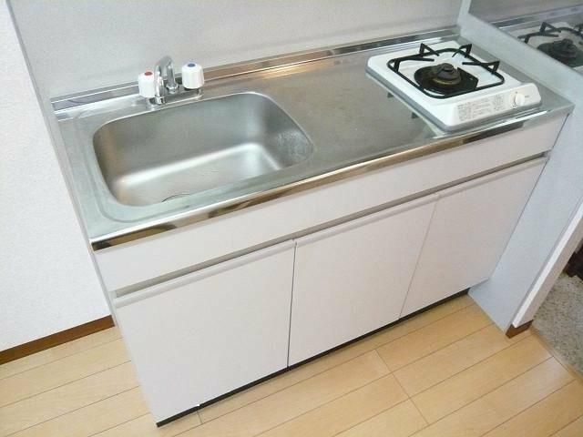 ハイビスカス その他11