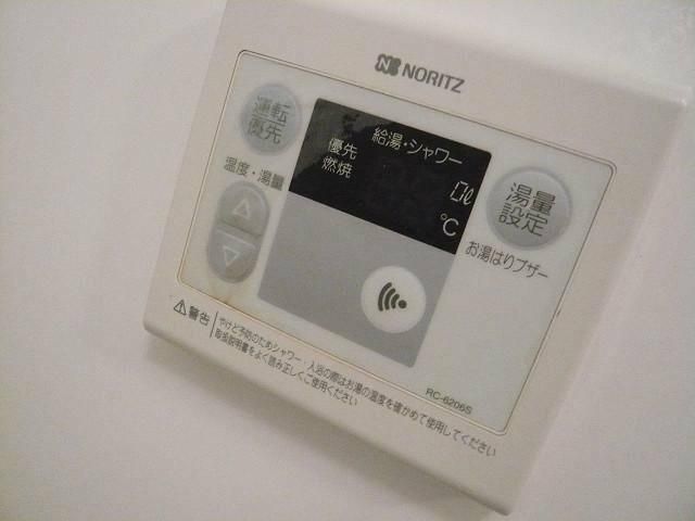 ハイビスカス その他13