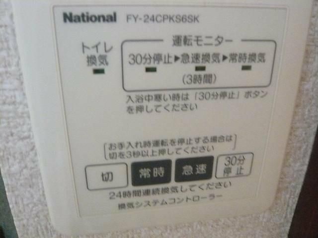 ハイビスカス その他14
