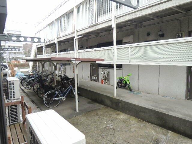 ハイビスカス その他15