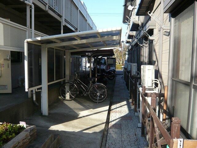 ハイビスカス その他16