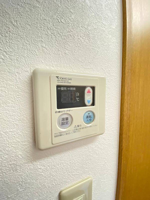 リトルシャイン その他10