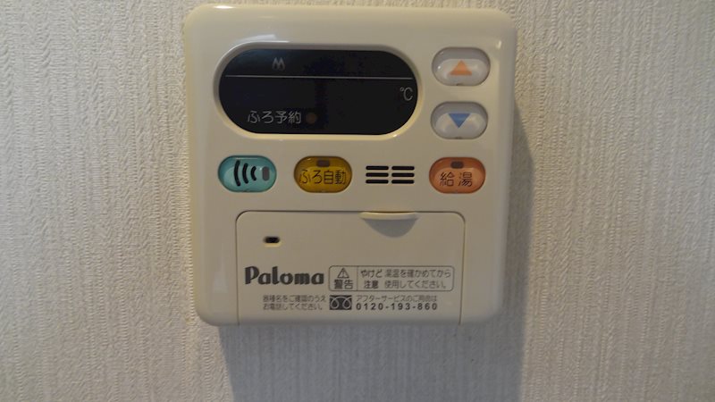 パーシモン その他