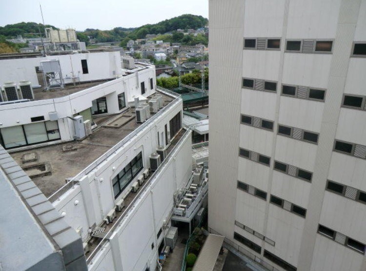 神興アルファビル 眺望