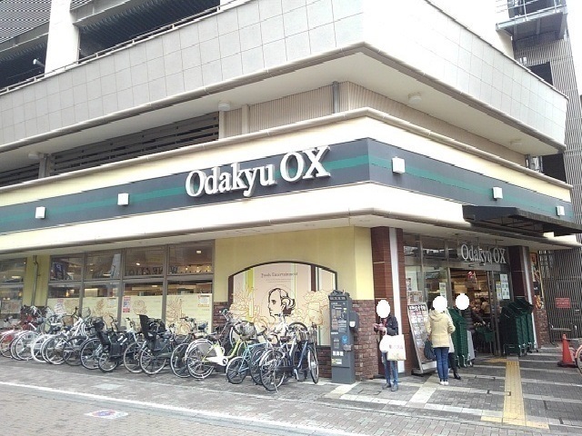 セレニーテ その他
