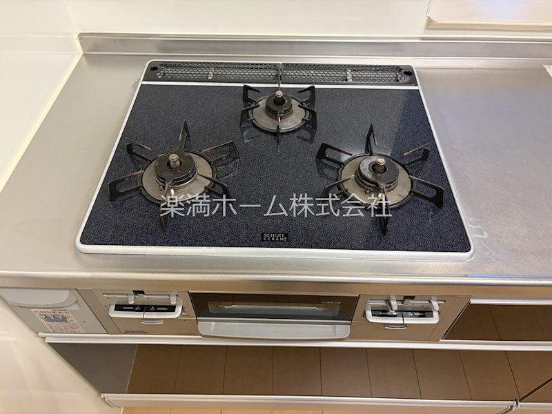 ヴェルドミール その他