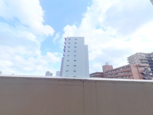 パークハウス仲町 眺望