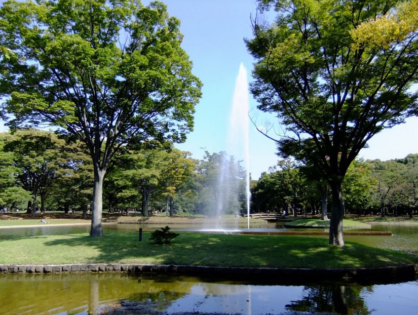 ポーラスター参宮橋 公園