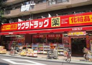 ライジングプレイス上板橋 ドラッグストア