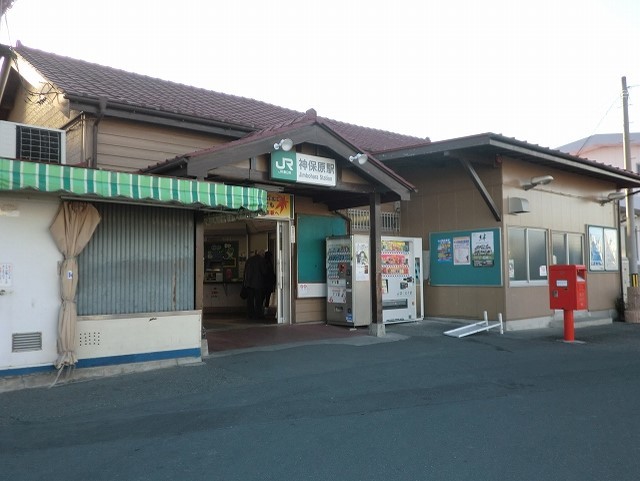 ソルフィー　Ｄ その他