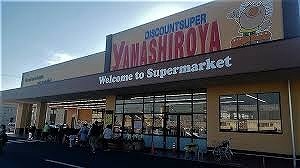 ホワイトチェリー その他