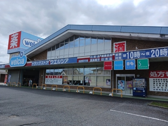 ラフェーラ５０ その他