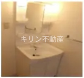 エクセレント 洗面所