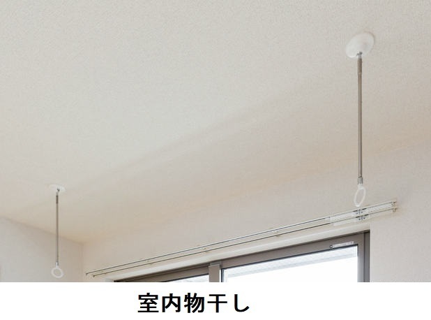カルモ・ドゥーエ その他