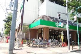 パークハウス大泉 周辺画像1