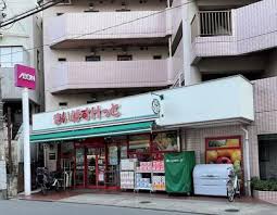 ブランシカ練馬豊島園Ⅰ 周辺画像6
