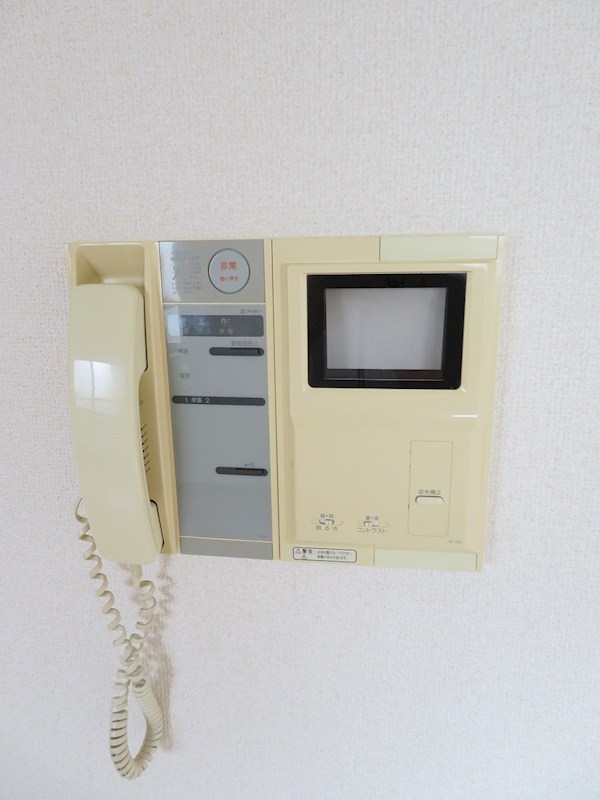 パピヨン　アゼリア その他13
