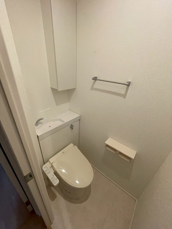 オーラ泉 その他2