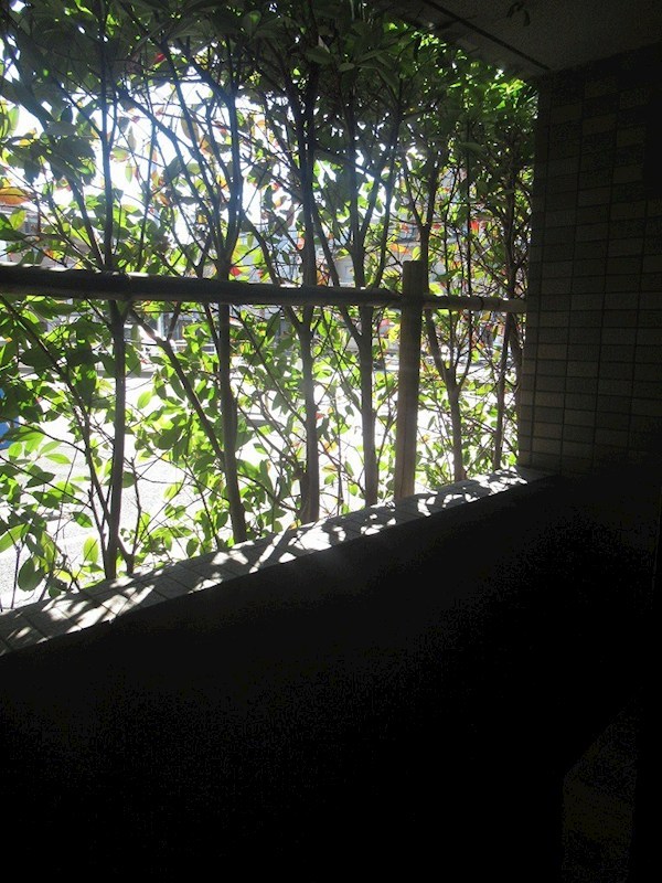 ルーブル中村橋参番館 ベランダ