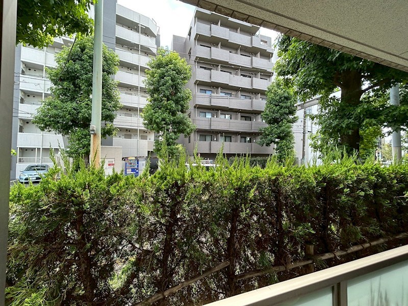 ラフィスタ中野鷺宮 その他5