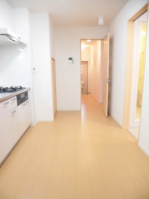 スカイレオ その他20