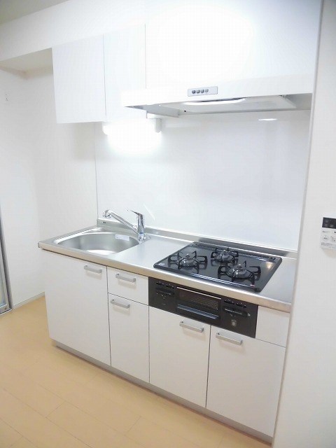 スカイレオ その他29