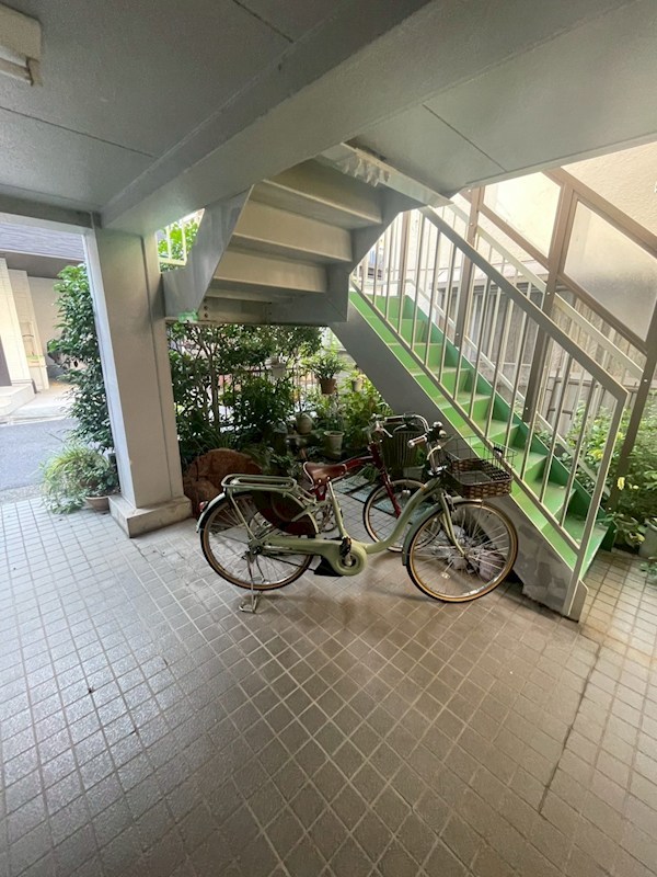 ドルフィン その他7