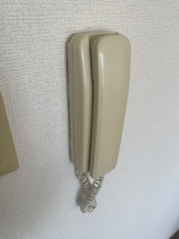 ウエストハイランド その他14