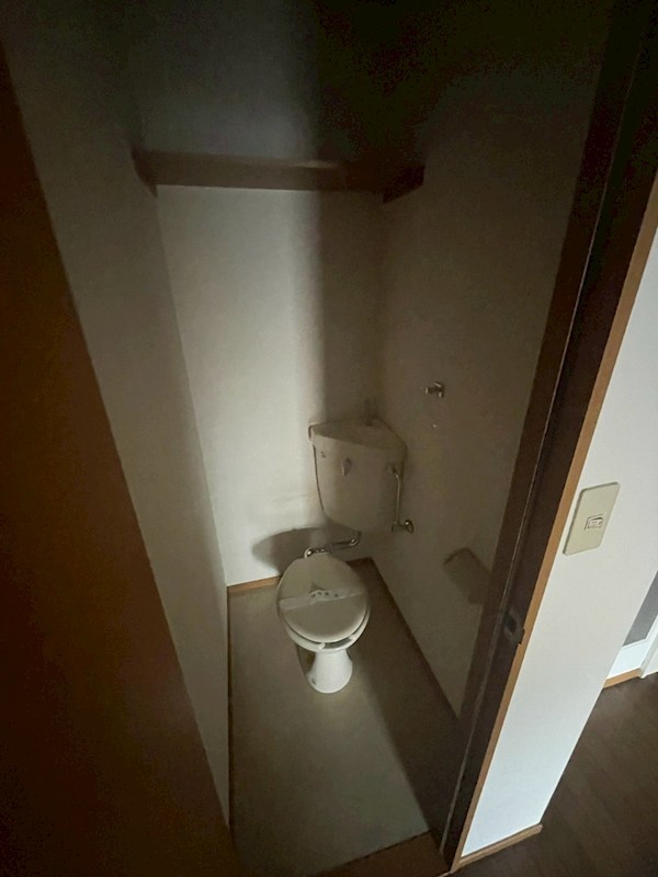 フォレストブライト その他1