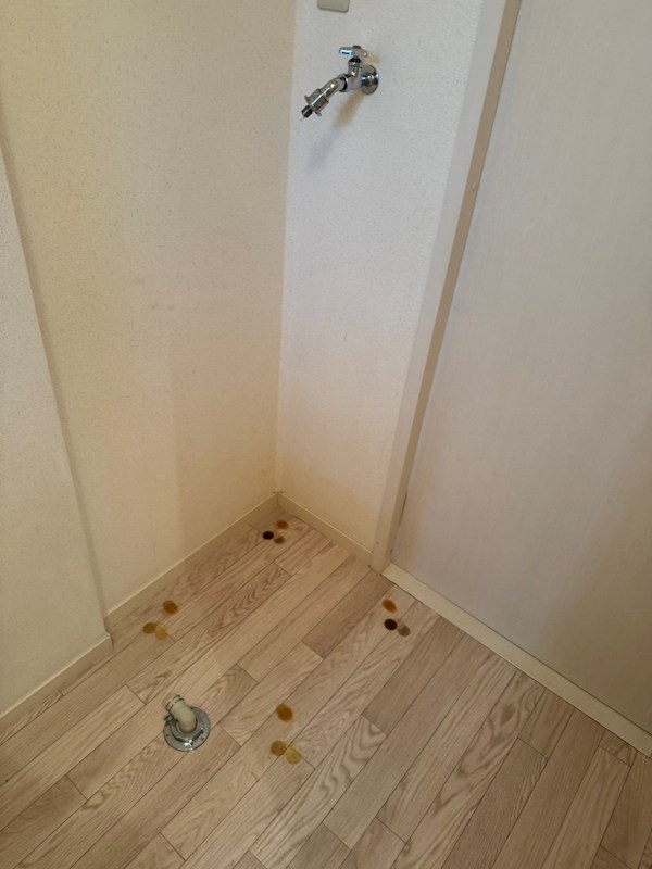 PISOⅡ その他7