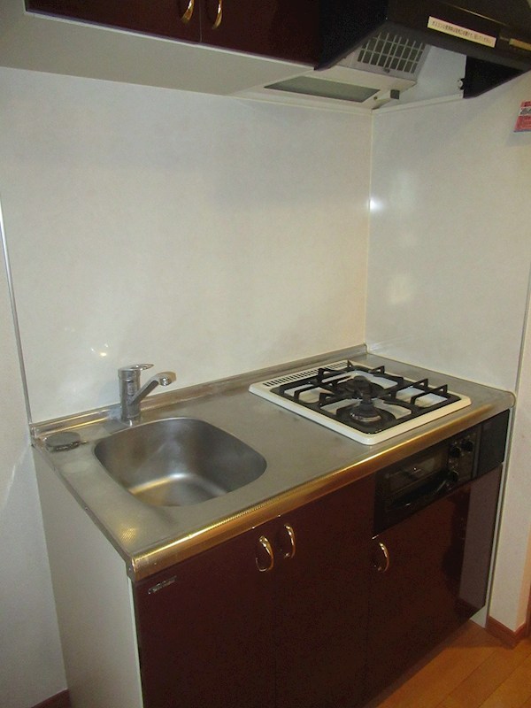 ガラ・グランディ練馬 キッチン