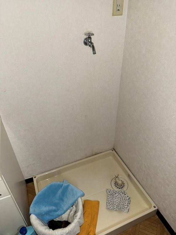 エクサラント早宮 その他15
