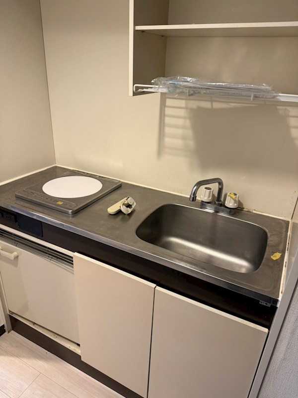 グリーンヒル豊玉 キッチン