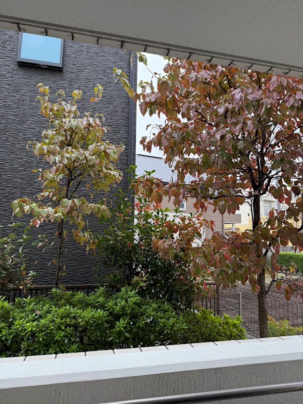 グリーンホームぬくい その他3