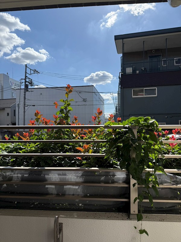 エスペランサ光が丘 その他4