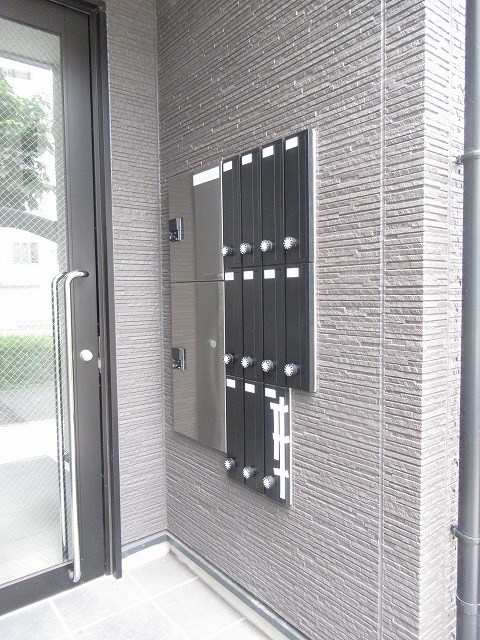 Pine Hill その他2