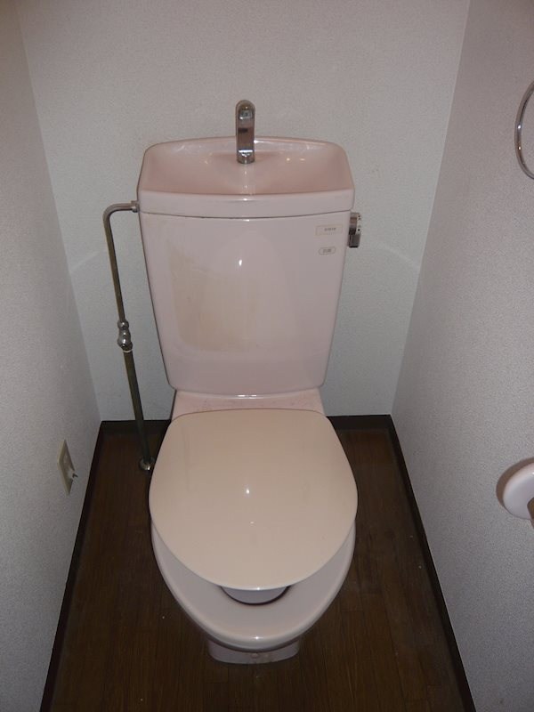 ウィステリア白鷺 その他1