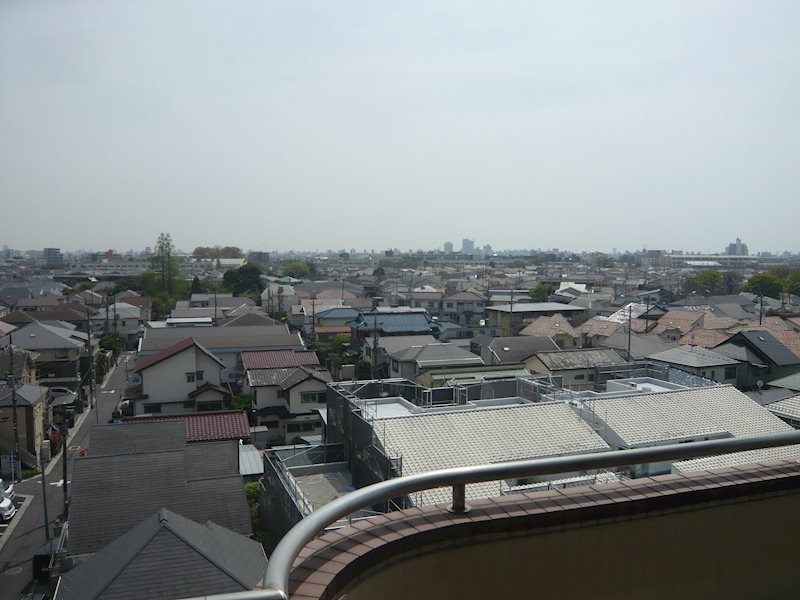 ウィステリア白鷺 その他4