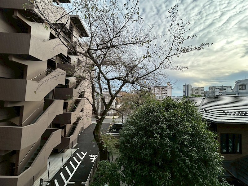 豊玉カームマンション その他6