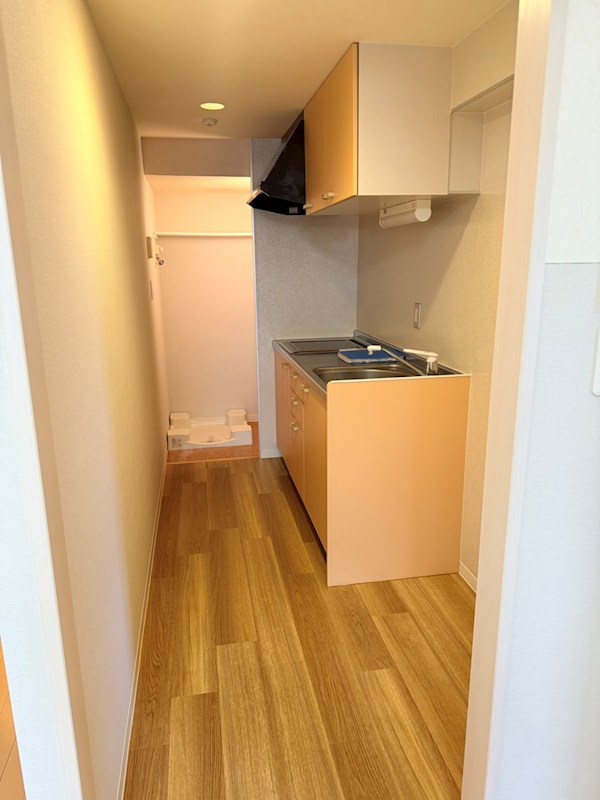 サブ　ローザ その他12