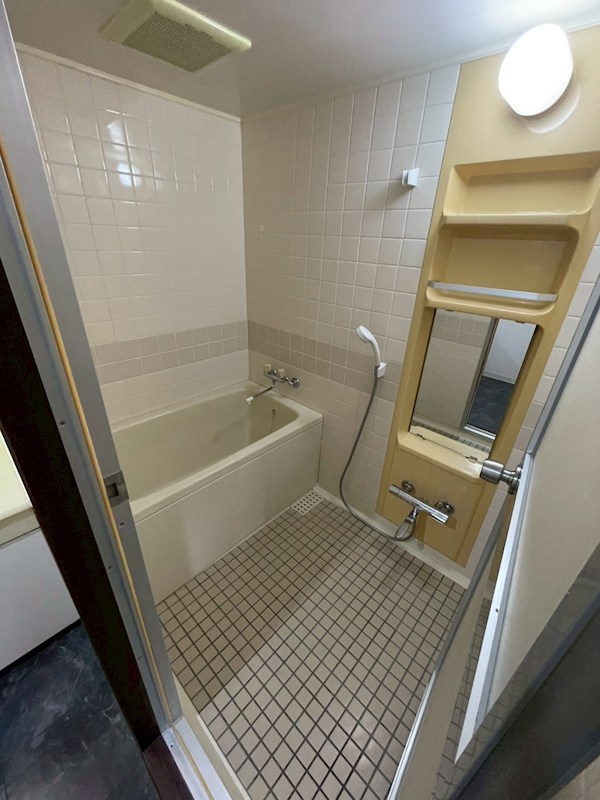 シェルセントラルビレッジⅠ 風呂画像