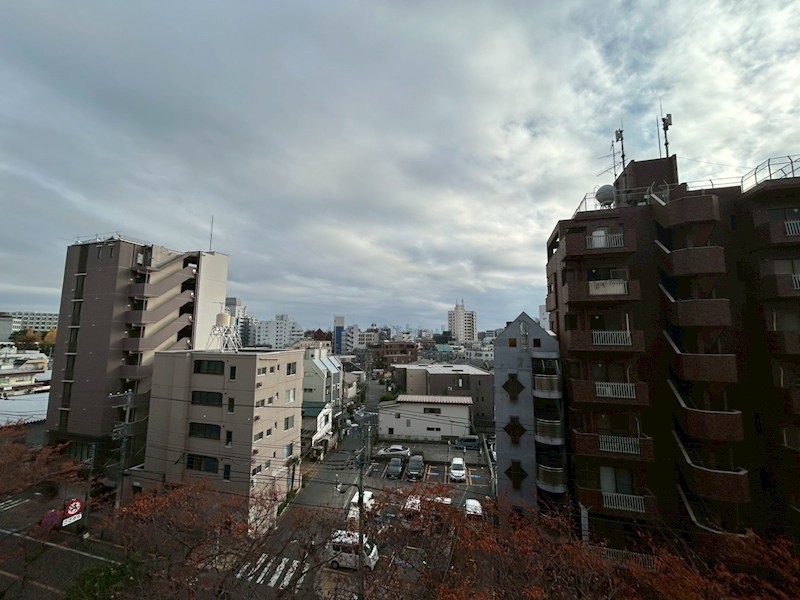 トゥルーハーモニー その他6