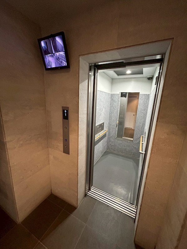 トゥルーハーモニー その他24