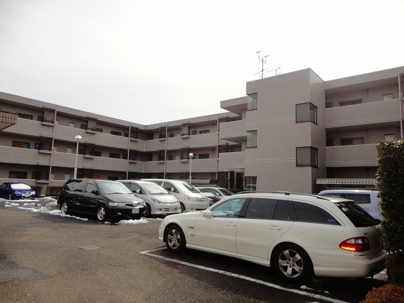 リベラルワタド その他2