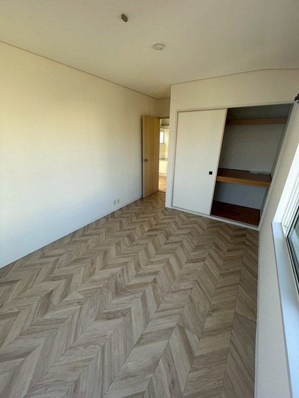 第５プティメゾン その他14