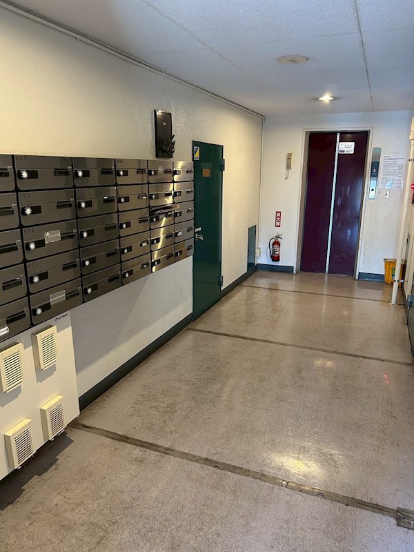 ハイライフ桜台 その他9