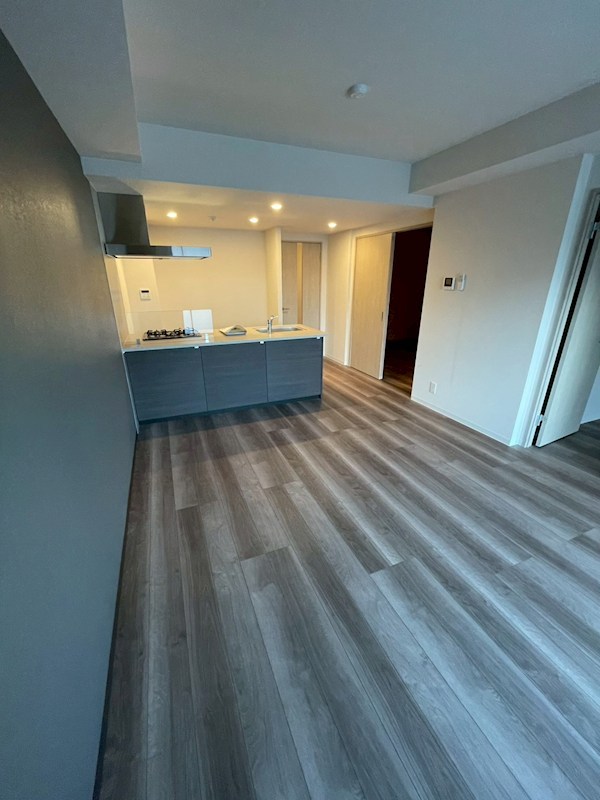 Stadt Nerima-kasugacho その他20