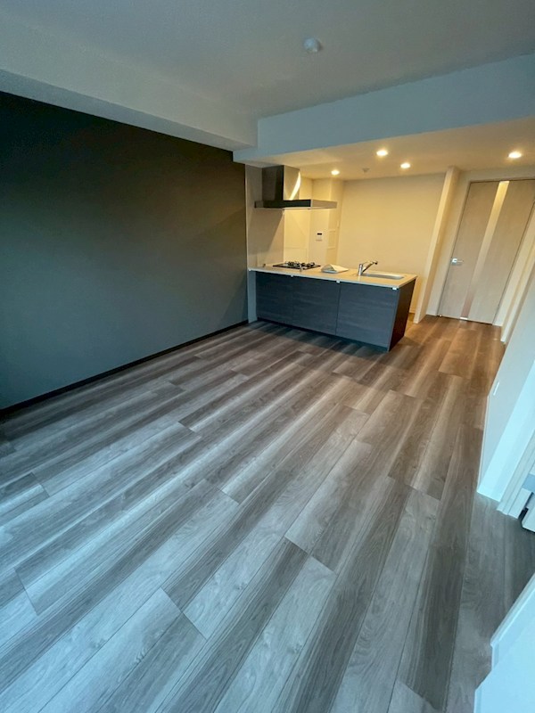 Stadt Nerima-kasugacho その他21