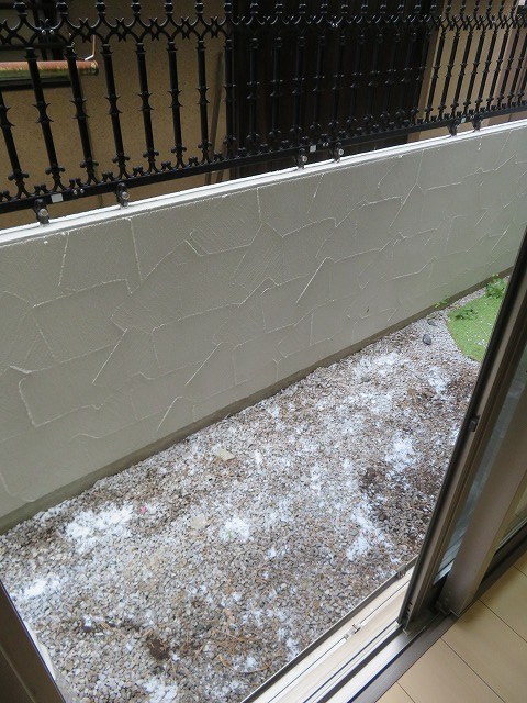 モダンフレンチＴＯＹＯＴＡＭＡ その他6