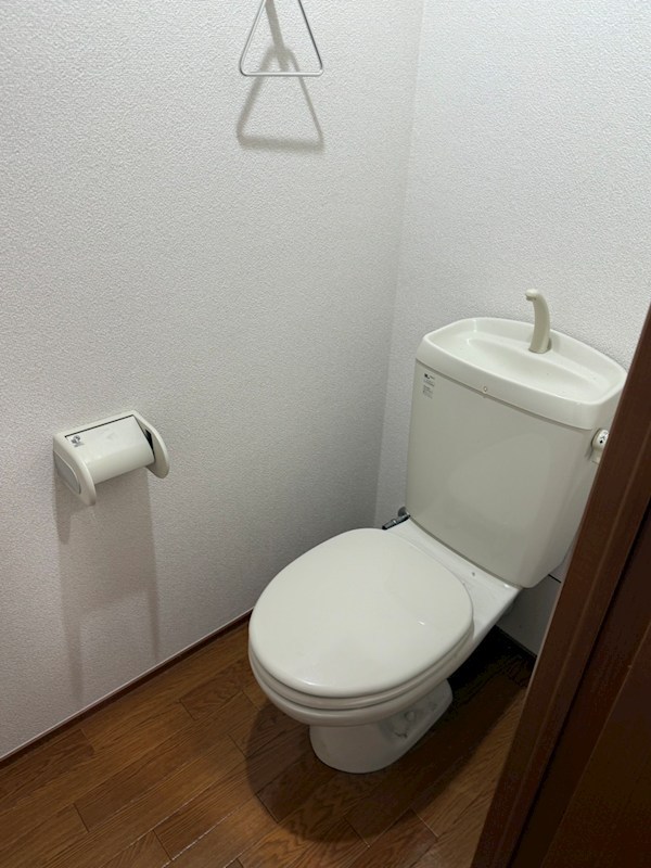 ブラウンコート その他2